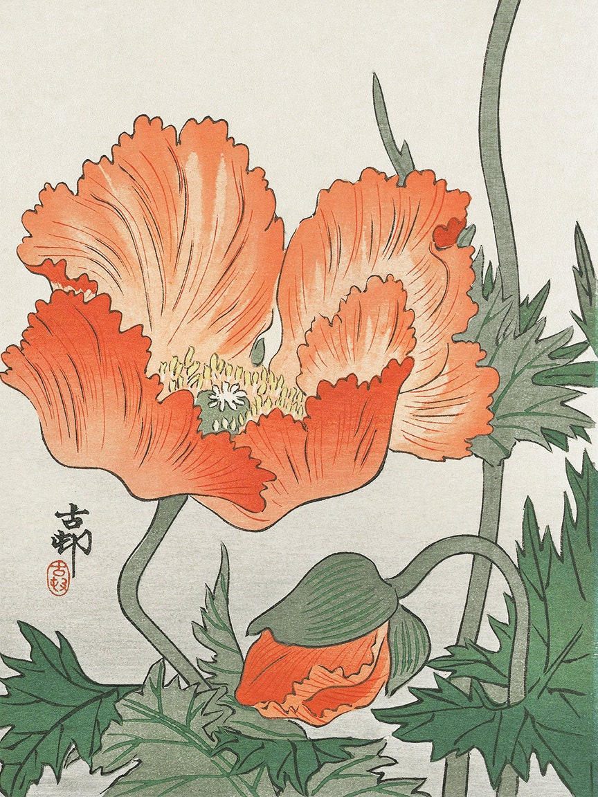 日本画(35)　ポピー Antique Japanese Poppy Art Print: Botanical Wall Decor - Etsy