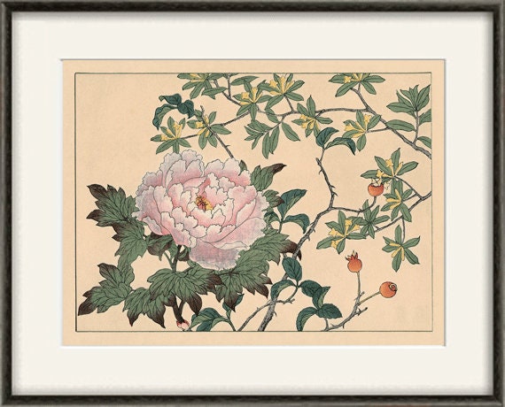 Japanese Peony Art