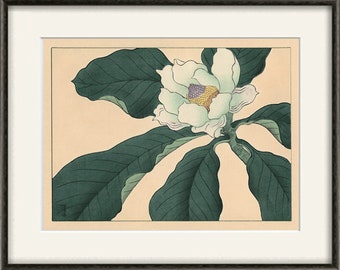 Magnolia art print Japanese botanical prints garden wall art home decor wall art japan poster antique print japanese decor flower wall art