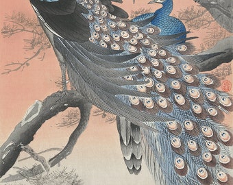 Peacock art bird art print Japanese art print poster Wall poster art home decor wall art print antique prints japan poster japanese decor