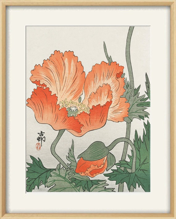 日本画(35)　ポピー il_fullxfull.1783527906_k9jv.jpg