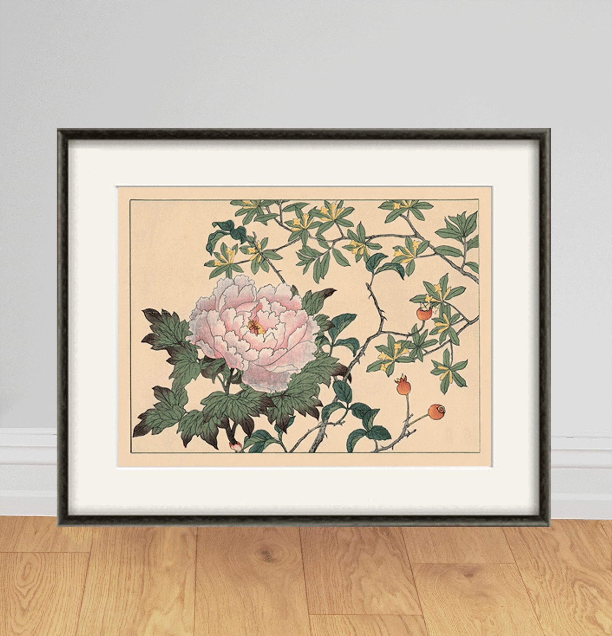 Japanese Peony Botanical Art Print: Antique Floral Wall Decor - Etsy