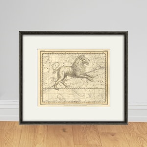 Carte du ciel constellation du zodiaque art céleste, constellation du Lion, estampes anciennes