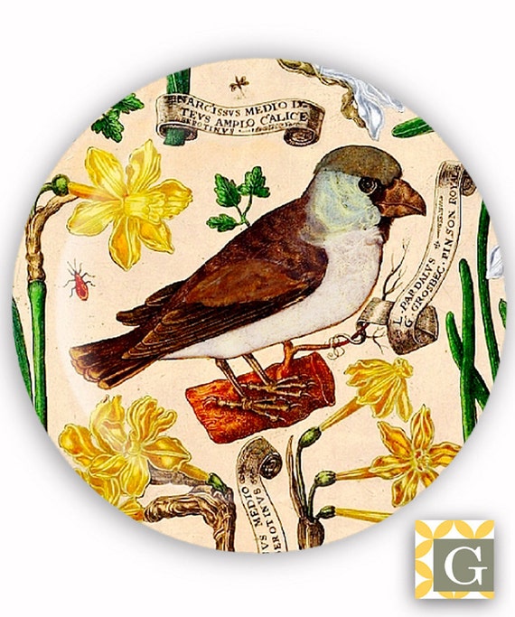 Plate Melamine Plate Decorative Plate Plastic Plate Etsy