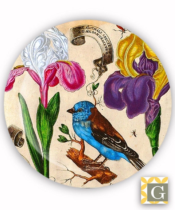 Plate Melamine Plate Decorative Plate Plastic Plate Etsy