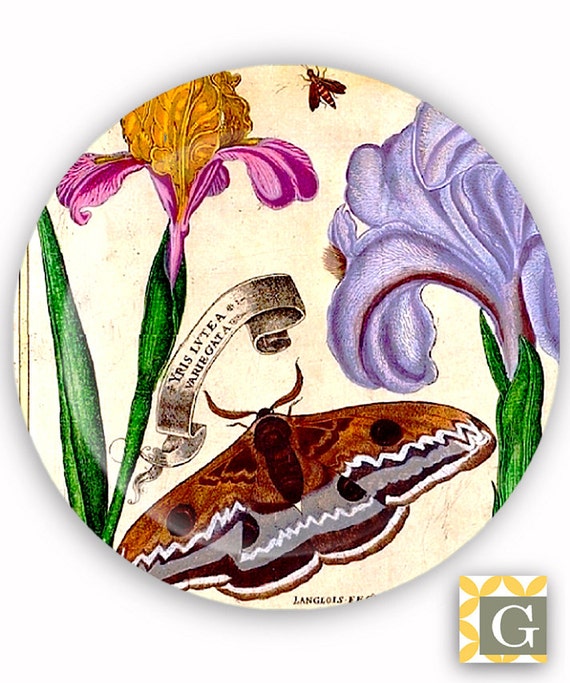 Plate Melamine Plate Decorative Plate Plastic Plate Etsy