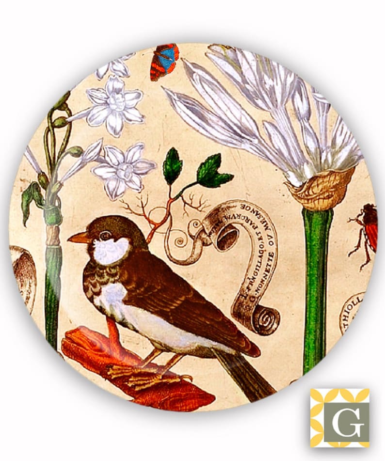 Antique French Botanical No Plate 8 Decorative Plate Melamine Plate Plastic Plate