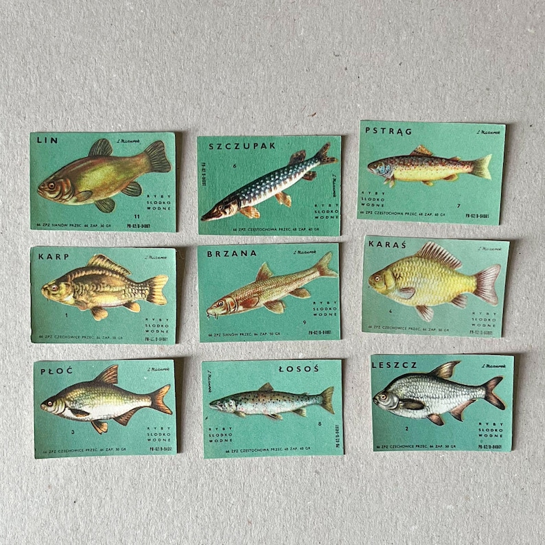 Op de afbeelding: Een verzameling van negen rechthoekige kaarten met illustraties van zoetwatervissen op een lichtgroene achtergrond. Elke kaart toont de naam van de vis, zoals Lin, Szczupak, Pstrag, Karp, Brzana, Karas, Ploc, Losos en Leszcz, met kleine gedrukte tekstdetails.