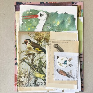 50 illustrazioni di UCCELLI, tecniche miste per scrapbooking, junk journal, smashbook, art journal, ephemera, mix di carta