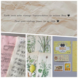Op de afbeelding: Een verzameling vintage papier, waaronder roze en witte bladmuziek, botanische illustraties van planten en een citroen, een geel bieretiket met de tekst COSCHUTZER HELL, een kaartfragment en twee postzegels uit Tanzania en Vietnam.