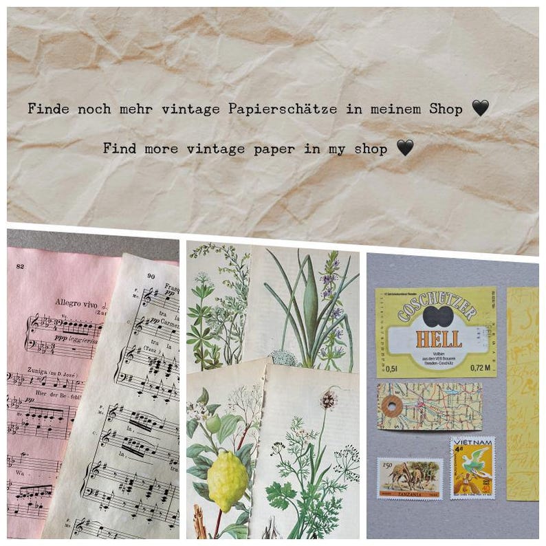 Op de afbeelding: Een verzameling vintage papier, waaronder roze en witte bladmuziek, botanische illustraties van planten en een citroen, een geel bieretiket met de tekst COSCHUTZER HELL, een kaartfragment en twee postzegels uit Tanzania en Vietnam.
