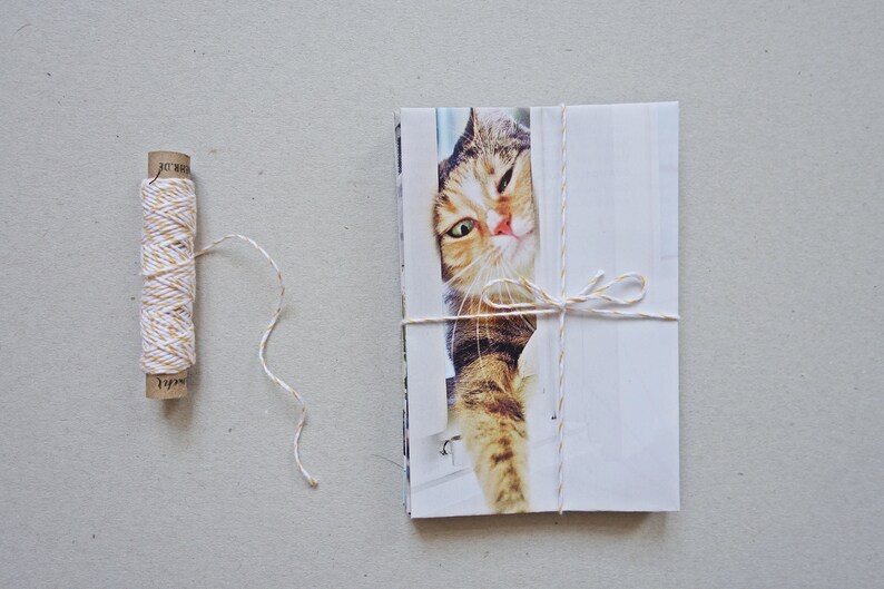 May include: A stack of white cards with a cat photo on the front is tied together with white twine with gold accents. The twine is tied in a bow.