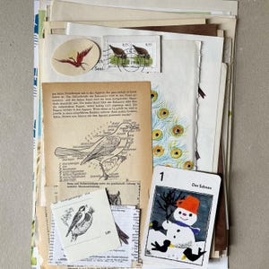 50x BIRDS Mixed Media for Scrapbooking Junk Journal Smashbook Art Journal Ephemera Paper Mix