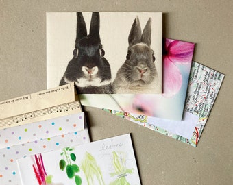 May include: Two close-up images of rabbits, one black and white and one grey, on a white background. The image is on a card with the text "De la valeur des notes" and "Del valor de las notas".