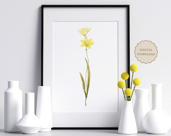 Gelbe Blume botanische Kunst Druck: minimalistisches Blumendekor (Digitaler Download)