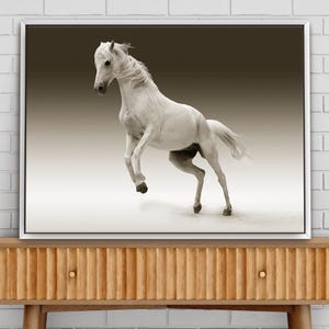 White Horse Framed Canvas Print, Fine Art Photography Wall Art, Horse Photography