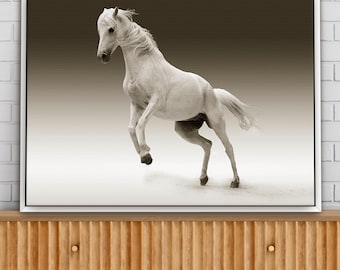 White Horse Canvas Print: Fine Art Photography Wall Decor