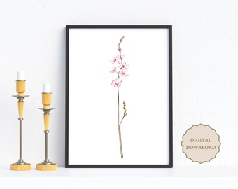 Pink Flower Botanical Art Print: Minimalist Floral Decor (Digital Download)