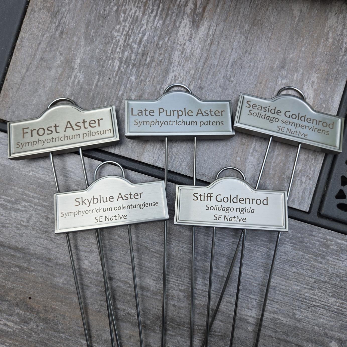 Pollinator Labels Fall Pollinator Plant Markers Set of 5 | Late Blooming Native Plants ...