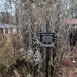 May include: A garden scene featuring tall, dried plants with long, slender leaves and dark seed heads. A black sign with white text reads "HABITAT AT REST", describing the garden's purpose for wildlife during winter.