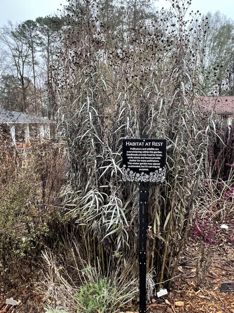 May include: A garden scene featuring tall, dried plants with long, slender leaves and dark seed heads. A black sign with white text reads "HABITAT AT REST", describing the garden's purpose for wildlife during winter.