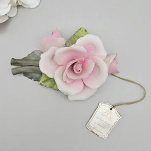 Napoleon capodimonte porcelain pink roses - Etsy 日本