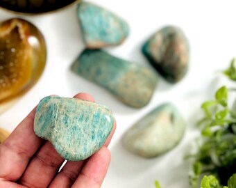 Amazonite Tumbled Large Stones - Gardening - Jewelry Making - Jewelry Craft Supplies - Decor - Choose 1,5,10 Stones - A Quality (TS-67)