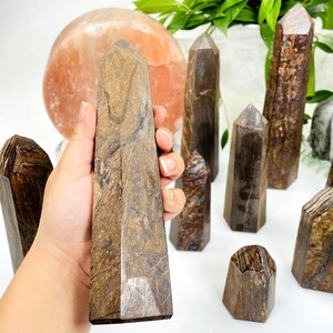 May include: A collection of brown and black striped crystal points, also known as Zebra Jasper, arranged on a white surface. The points are various sizes and shapes, with some being taller and thinner than others.