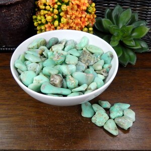 Petite Chrysoprase Tumbled Polished Stone ~ Choose 1, 5, or 10 Pieces (RK37B7-01)