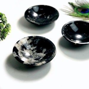 Orthoceras Polished Bowl - Small 10CM (RK6A-63)