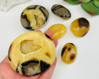 Piedras pulidas de cristales a granel de Septarian USTED OBTIENE TODAS