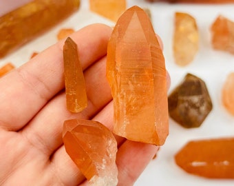 May include: A collection of orange and brown crystal points. The crystals are of various sizes and shapes, and some have a clear, glassy appearance.
