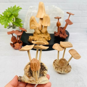 Hand Crafted Wooden Mushrooms Fairy Gardens Crytal Alter