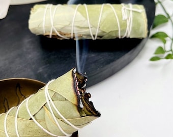 Paquetes de eucalipto para difuminar