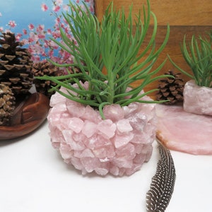 Pode incluir: Uma planta suculenta crescendo em um vaso de cristal de quartzo rosa. O vaso é feito de muitas peças pequenas e irregulares de quartzo rosa.