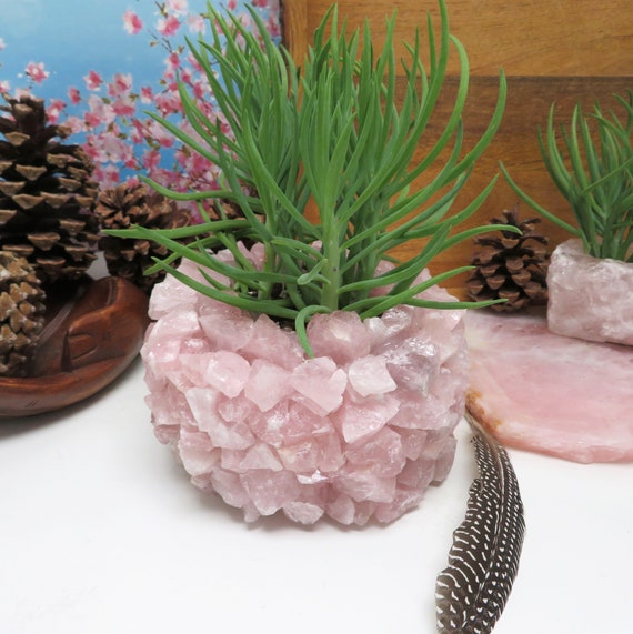 Rose Quartz Crystal Plant Holder - Pink Stone Pot - Home Decor - Sacred  Space - Etsy