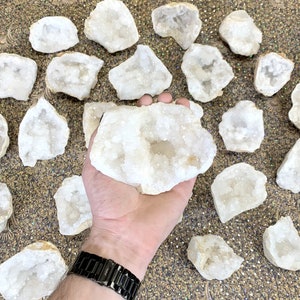 White Quartz Druzy Geode - Half - (GEO)