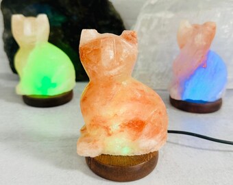 Himalayan Salt Cat Lamp