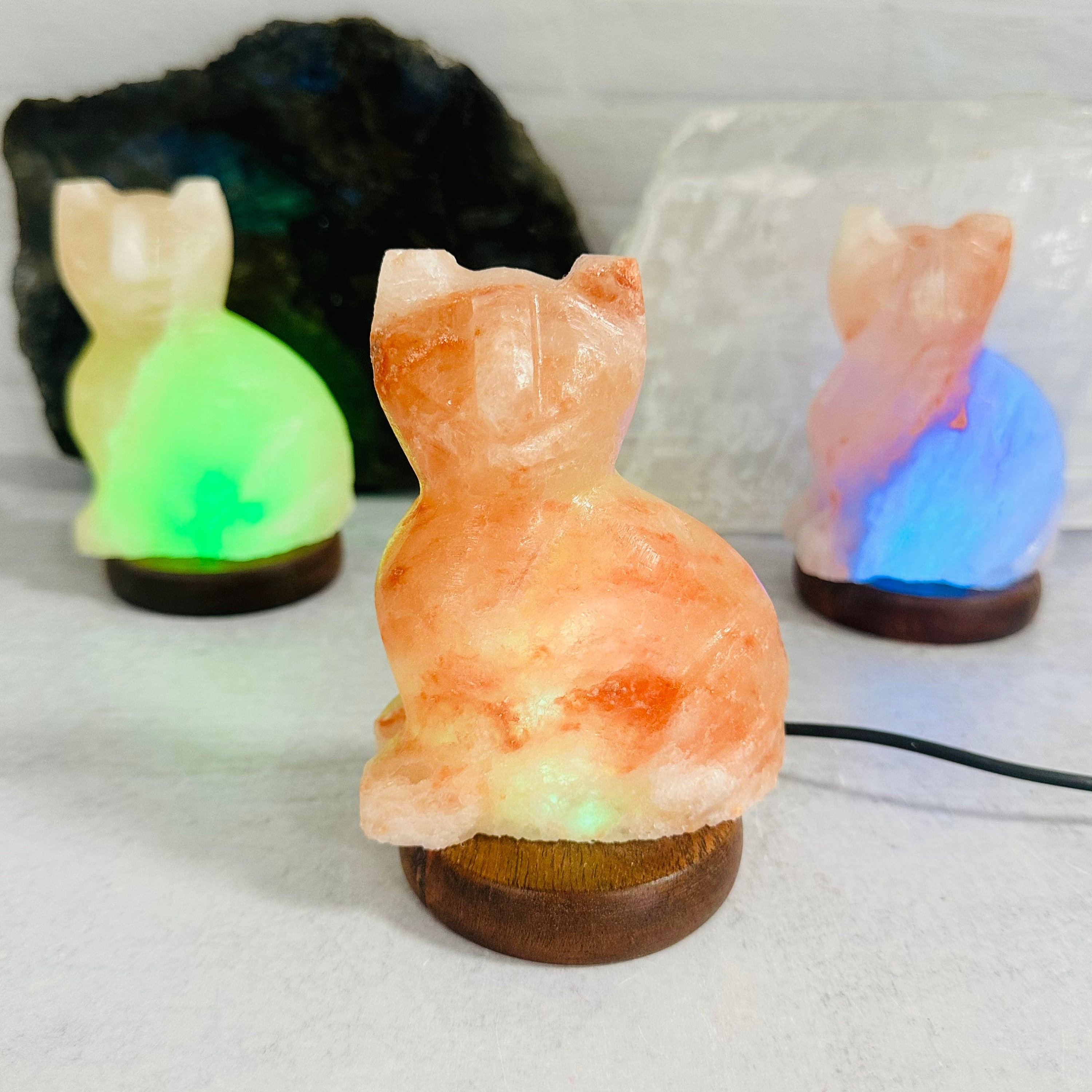 Himalayan Salt Cat Lamp Etsy UK