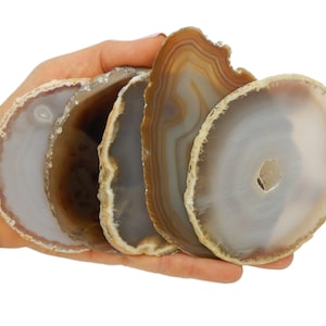 May include: A hand holding several agate coasters. The coasters are circular with a polished surface, showcasing concentric bands of brown, gray, and white. Each coaster has a unique pattern and natural edge, ideal for home decor.