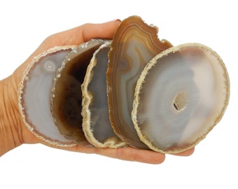 Natural Agate Slice - Agate Slices #3 Rocks Geodes Minerals
