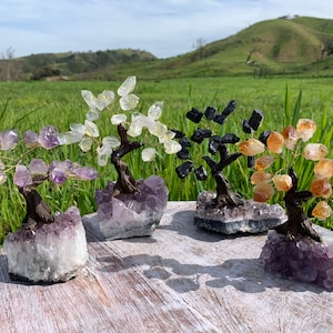 Crystal Tree on Amethyst Base (Choose Your Gemstone) (RK3)