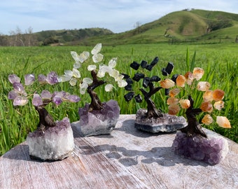 Crystal Tree on Amethyst Base (Choose Your Gemstone) (RK3)