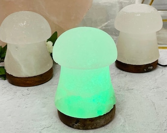 Himalayan Salt White Mushroom Lamp