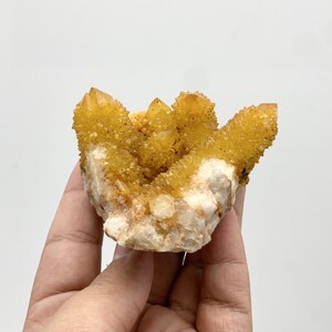 Spirt Quartz One Of A Kind Crystal Cluster (DOOAK-S9-68)
