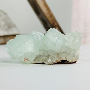 Green Apophyllite with Stilbite Zeolite Museum Quality Mineral