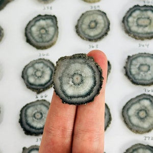 Dark Stalactite Slices YOU CHOOSE