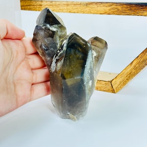 Smoky Quartz Crystal Cluster