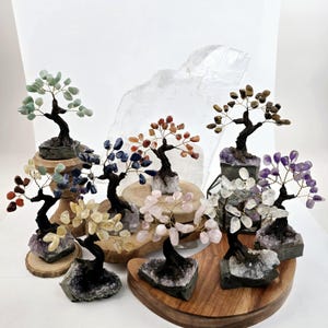 May include: A collection of eight crystal gemstone bonsai trees, each with a different color of stones, including green, blue, red, yellow, pink, and purple. The trees are displayed on wooden bases with amethyst crystals.