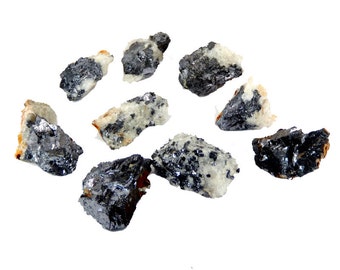 May include: A collection of ten small, dark gray, metallic, rough-hewn, mineral specimens. The mineral pieces are scattered on a white background.